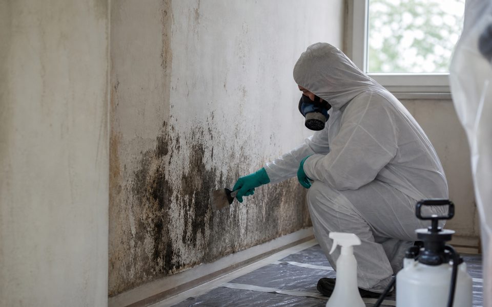 Fachkraft im Schutzanzug entfernt Schimmel von einer feuchten Wand